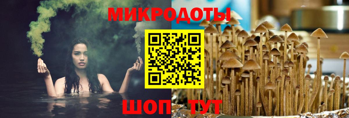 Звенигород  Галлюциногенные грибы Cubensis  Вход с VPN  Псилоцибиновые грибы мицелий 